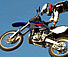 FMX Team 2